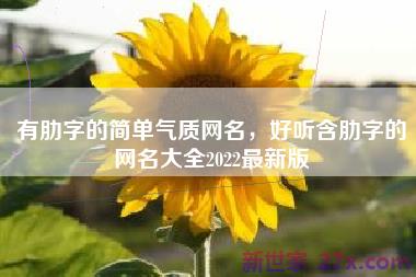 有肋字的简单气质网名，好听含肋字的网名大全2022最新版