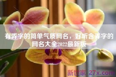 有弄字的简单气质网名，好听含弄字的网名大全2022最新版