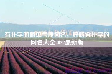 有扑字的简单气质网名，好听含扑字的网名大全2022最新版