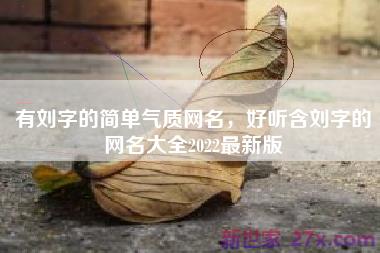 有刘字的简单气质网名，好听含刘字的网名大全2022最新版