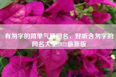 有匆字的简单气质网名，好听含匆字的网名大全2022最新版