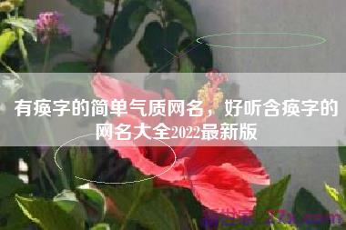 有痪字的简单气质网名，好听含痪字的网名大全2022最新版
