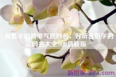 有魁字的简单气质网名，好听含魁字的网名大全2022最新版