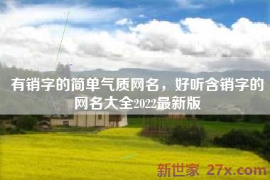 有销字的简单气质网名，好听含销字的网名大全2022最新版