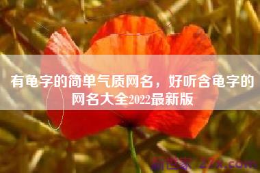 有龟字的简单气质网名，好听含龟字的网名大全2022最新版