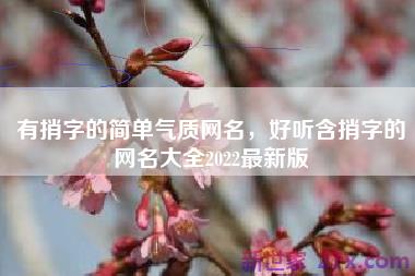 有捎字的简单气质网名，好听含捎字的网名大全2022最新版