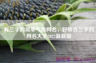 有兰字的简单气质网名，好听含兰字的网名大全2022最新版