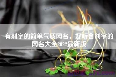 有剂字的简单气质网名，好听含剂字的网名大全2022最新版