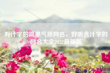 有汁字的简单气质网名，好听含汁字的网名大全2022最新版
