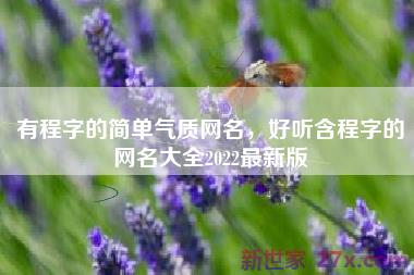 有程字的简单气质网名，好听含程字的网名大全2022最新版