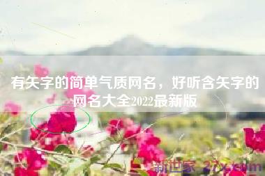 有矢字的简单气质网名，好听含矢字的网名大全2022最新版