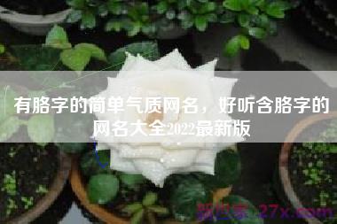有胳字的简单气质网名，好听含胳字的网名大全2022最新版