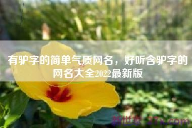 有驴字的简单气质网名，好听含驴字的网名大全2022最新版