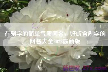 有剐字的简单气质网名，好听含剐字的网名大全2022最新版