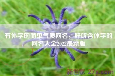 有体字的简单气质网名，好听含体字的网名大全2022最新版