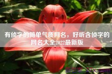 有侦字的简单气质网名，好听含侦字的网名大全2022最新版