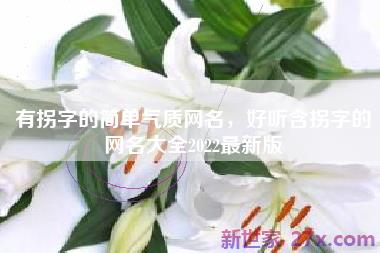 有拐字的简单气质网名，好听含拐字的网名大全2022最新版