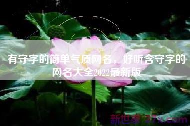 有守字的简单气质网名，好听含守字的网名大全2022最新版