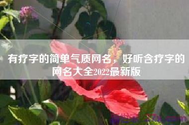 有疗字的简单气质网名，好听含疗字的网名大全2022最新版