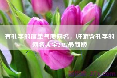 有孔字的简单气质网名，好听含孔字的网名大全2022最新版