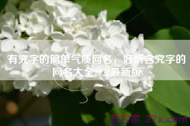 有究字的简单气质网名，好听含究字的网名大全2022最新版