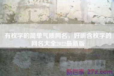 有枚字的简单气质网名，好听含枚字的网名大全2022最新版