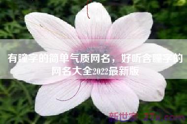 有瞳字的简单气质网名，好听含瞳字的网名大全2022最新版