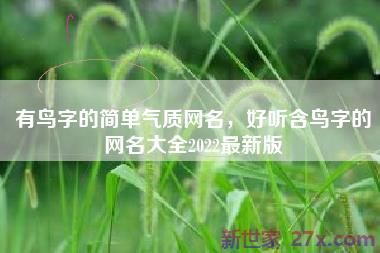 有鸟字的简单气质网名，好听含鸟字的网名大全2022最新版