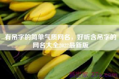 有吊字的简单气质网名，好听含吊字的网名大全2022最新版