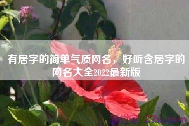 有居字的简单气质网名，好听含居字的网名大全2022最新版