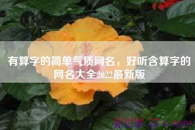 有算字的简单气质网名，好听含算字的网名大全2022最新版