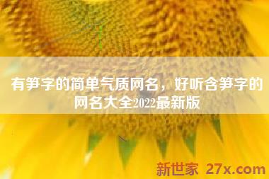 有笋字的简单气质网名，好听含笋字的网名大全2022最新版