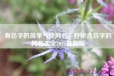 有忌字的简单气质网名，好听含忌字的网名大全2022最新版
