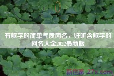 有躯字的简单气质网名，好听含躯字的网名大全2022最新版