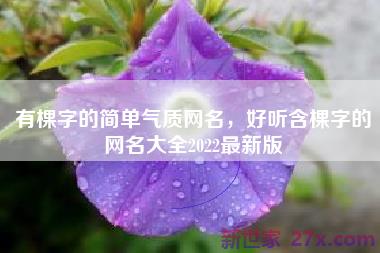 有棵字的简单气质网名，好听含棵字的网名大全2022最新版
