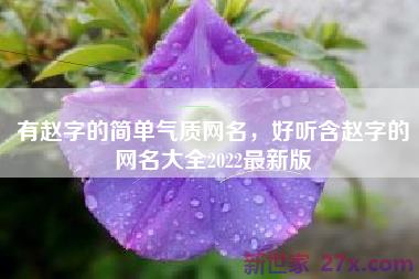 有赵字的简单气质网名，好听含赵字的网名大全2022最新版