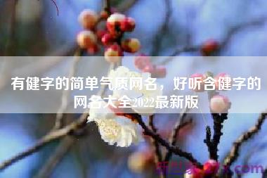 有健字的简单气质网名，好听含健字的网名大全2022最新版