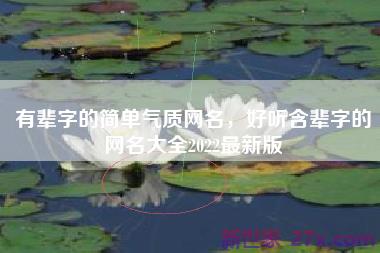有辈字的简单气质网名，好听含辈字的网名大全2022最新版