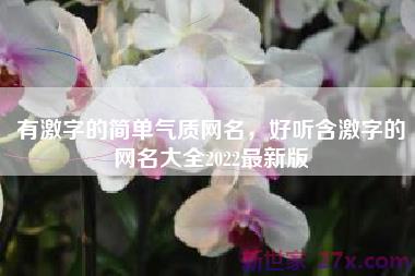 有激字的简单气质网名，好听含激字的网名大全2022最新版