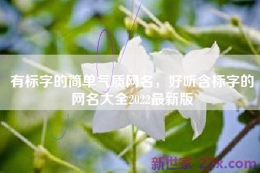 有标字的简单气质网名，好听含标字的网名大全2022最新版