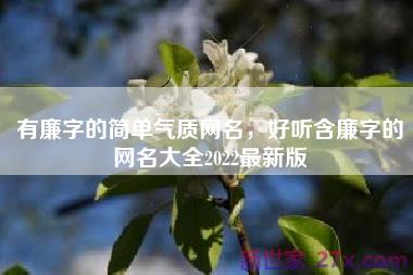 有廉字的简单气质网名，好听含廉字的网名大全2022最新版