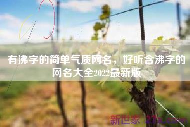 有沸字的简单气质网名，好听含沸字的网名大全2022最新版
