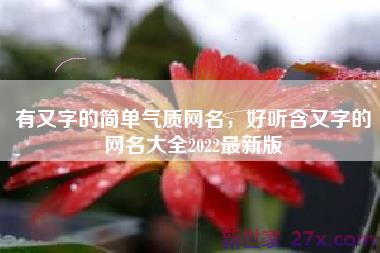 有又字的简单气质网名，好听含又字的网名大全2022最新版