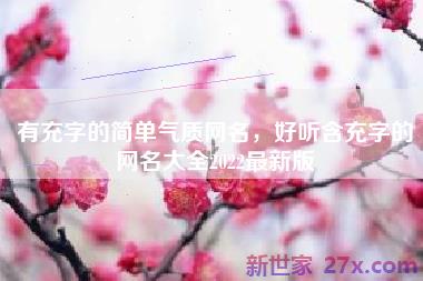 有充字的简单气质网名，好听含充字的网名大全2022最新版