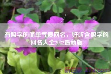 有盟字的简单气质网名，好听含盟字的网名大全2022最新版