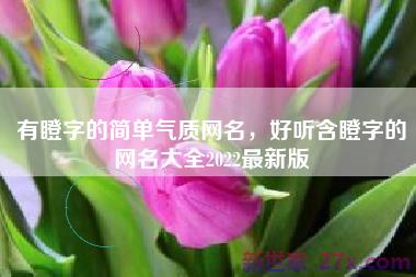 有瞪字的简单气质网名，好听含瞪字的网名大全2022最新版