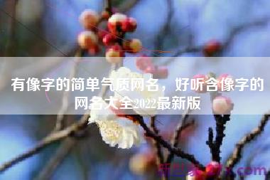 有像字的简单气质网名，好听含像字的网名大全2022最新版