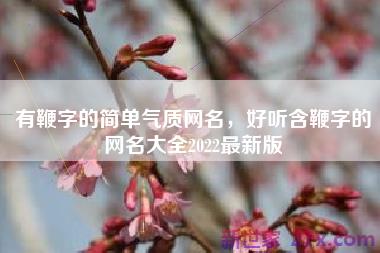 有鞭字的简单气质网名，好听含鞭字的网名大全2022最新版