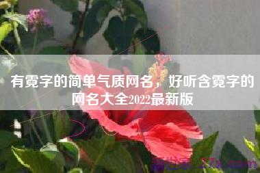 有霓字的简单气质网名，好听含霓字的网名大全2022最新版