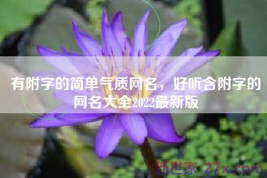 有附字的简单气质网名，好听含附字的网名大全2022最新版